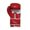 Jim Bradley Branded Boxing Gloves Boxing Gloves Leather Branded With Club Logo (25)