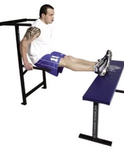 Jim Bradley Wall Mounted Progress Dip Bar